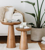 Rafine Living Handcrafted Home Goods Tuca's Home Mushroom 2 and 3 Dark Wood Coffee Table modern midcentury furniture 1